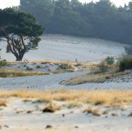 95, 2 King Size Bedden - Airco - Gelegen Aan De Kampina - Recreational Only Oisterwijk