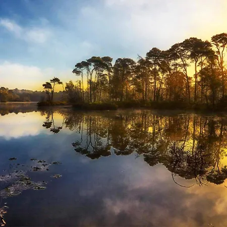 Tatil Evi 95, 2 King Size Bedden - Airco - Gelegen Aan De Kampina - Recreational Only *