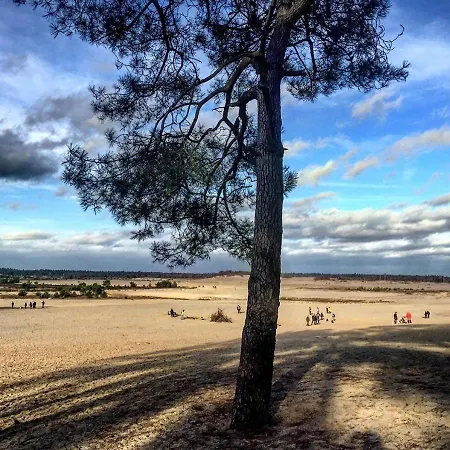 95, 2 King Size Bedden - Airco - Gelegen Aan De Kampina - Recreational Only