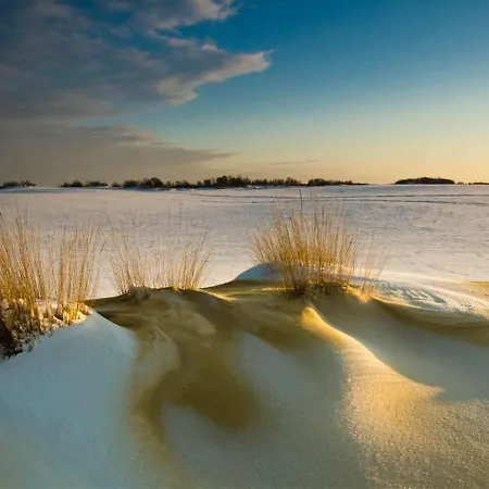 Feriehus 95, 2 King Size Bedden - Airco - Gelegen Aan De Kampina - Recreational Only Oisterwijk