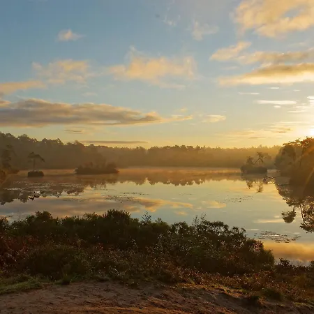 95, 2 King Size Bedden - Airco - Gelegen Aan De Kampina - Recreational Only Tatil Evi Oisterwijk