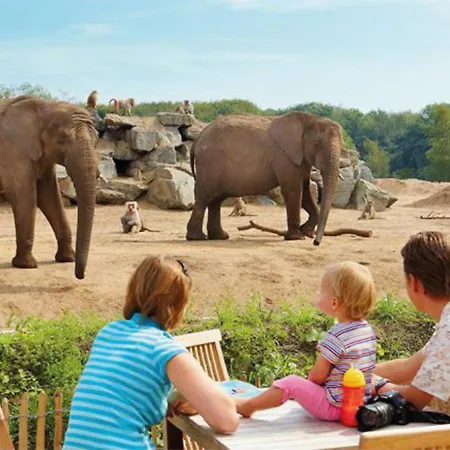 95, 2 King Size Bedden - Airco - Gelegen Aan De Kampina - Recreational Only Feriehus Oisterwijk