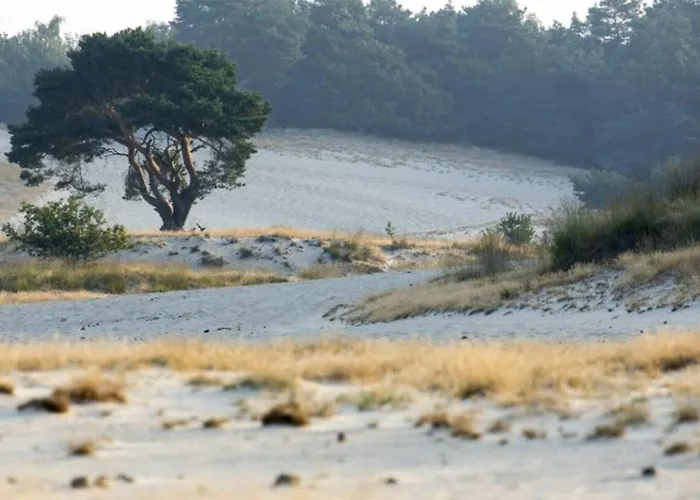 95, 2 King Size Bedden - Airco - Gelegen Aan De Kampina - Recreational Only Oisterwijk