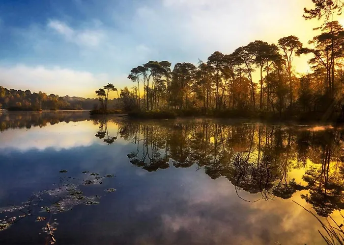 Nyaraló 95, 2 King Size Bedden - Airco - Gelegen Aan De Kampina - Recreational Only *
