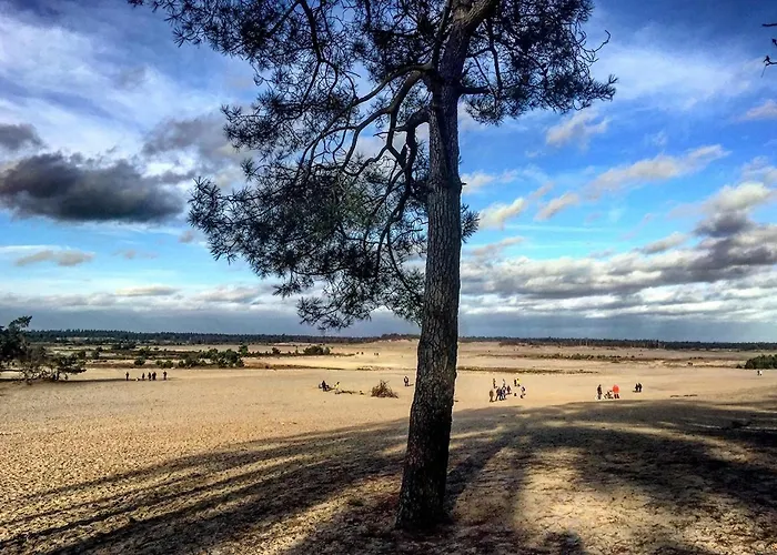 95, 2 King Size Bedden - Airco - Gelegen Aan De Kampina - Recreational Only