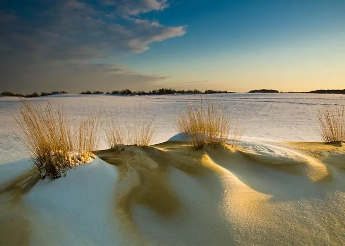 Nyaraló 95, 2 King Size Bedden - Airco - Gelegen Aan De Kampina - Recreational Only Oisterwijk
