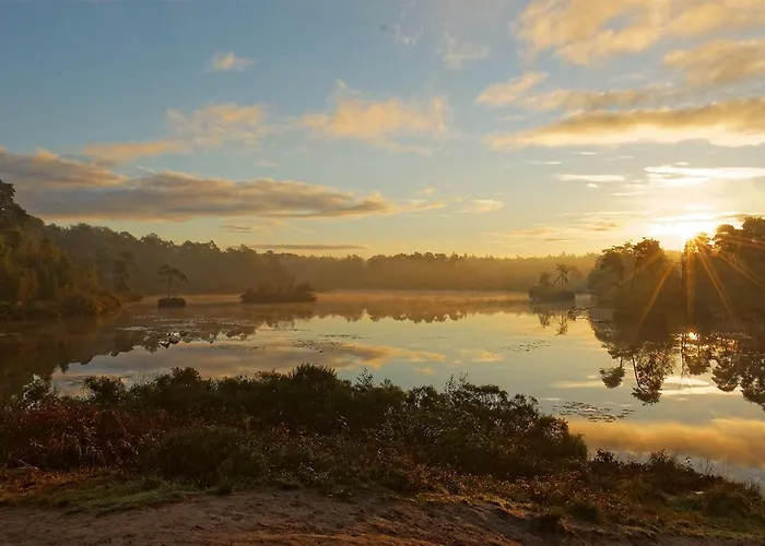 95, 2 King Size Bedden - Airco - Gelegen Aan De Kampina - Recreational Only Σπίτι διακοπών Oisterwijk