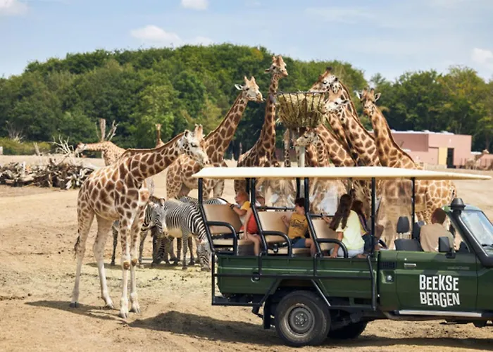 95, 2 King Size Bedden - Airco - Gelegen Aan De Kampina - Recreational Only Nyaraló Oisterwijk