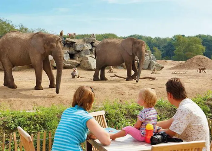 95, 2 King Size Bedden - Airco - Gelegen Aan De Kampina - Recreational Only Nyaraló Oisterwijk