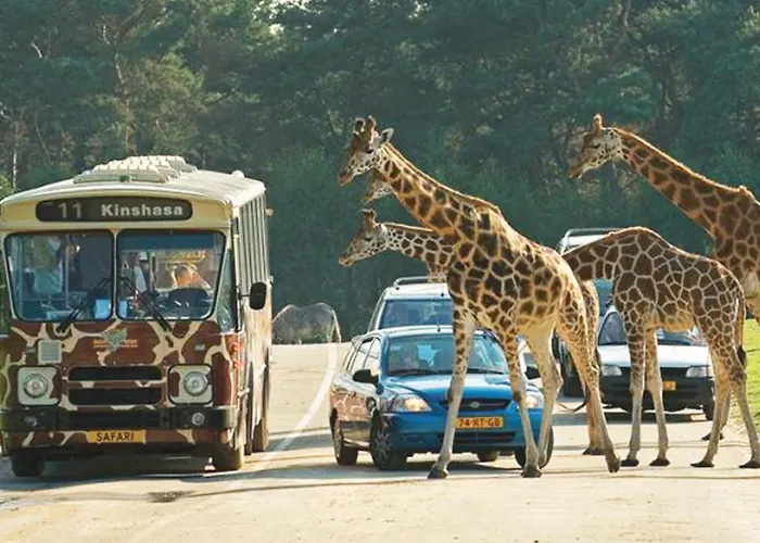 95, 2 King Size Bedden - Airco - Gelegen Aan De Kampina - Recreational Only Oisterwijk