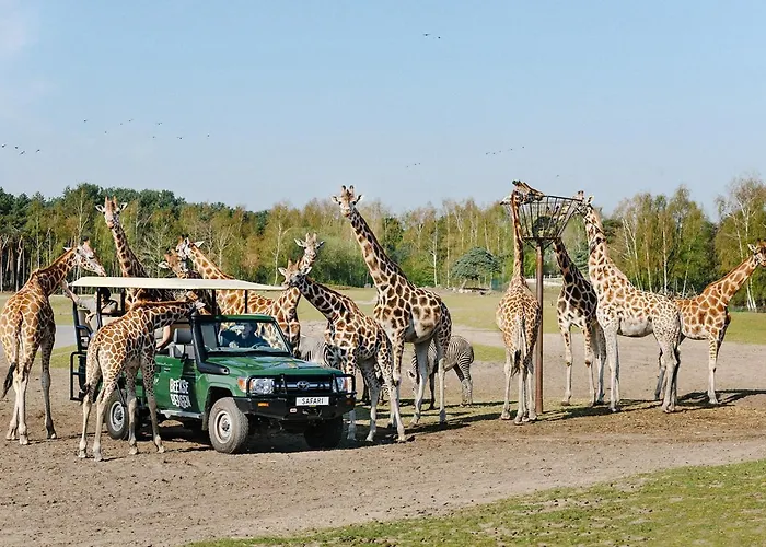 95, 2 King Size Bedden - Airco - Gelegen Aan De Kampina - Recreational Only * Oisterwijk